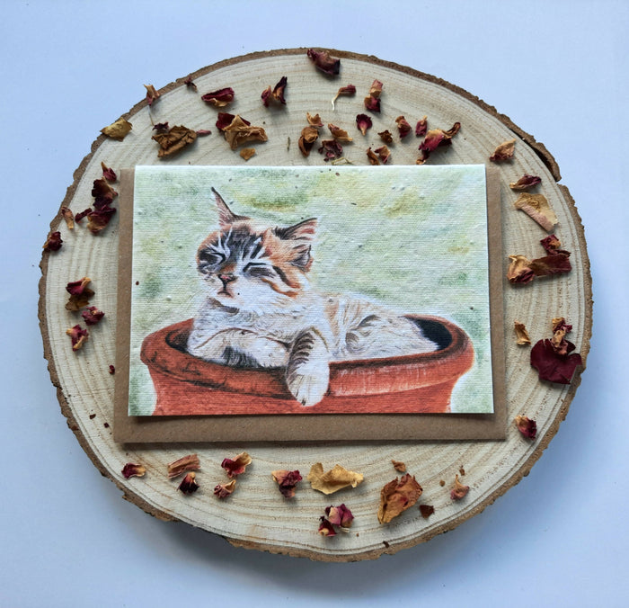 Plantable Wildflower Card - Cosy Cat