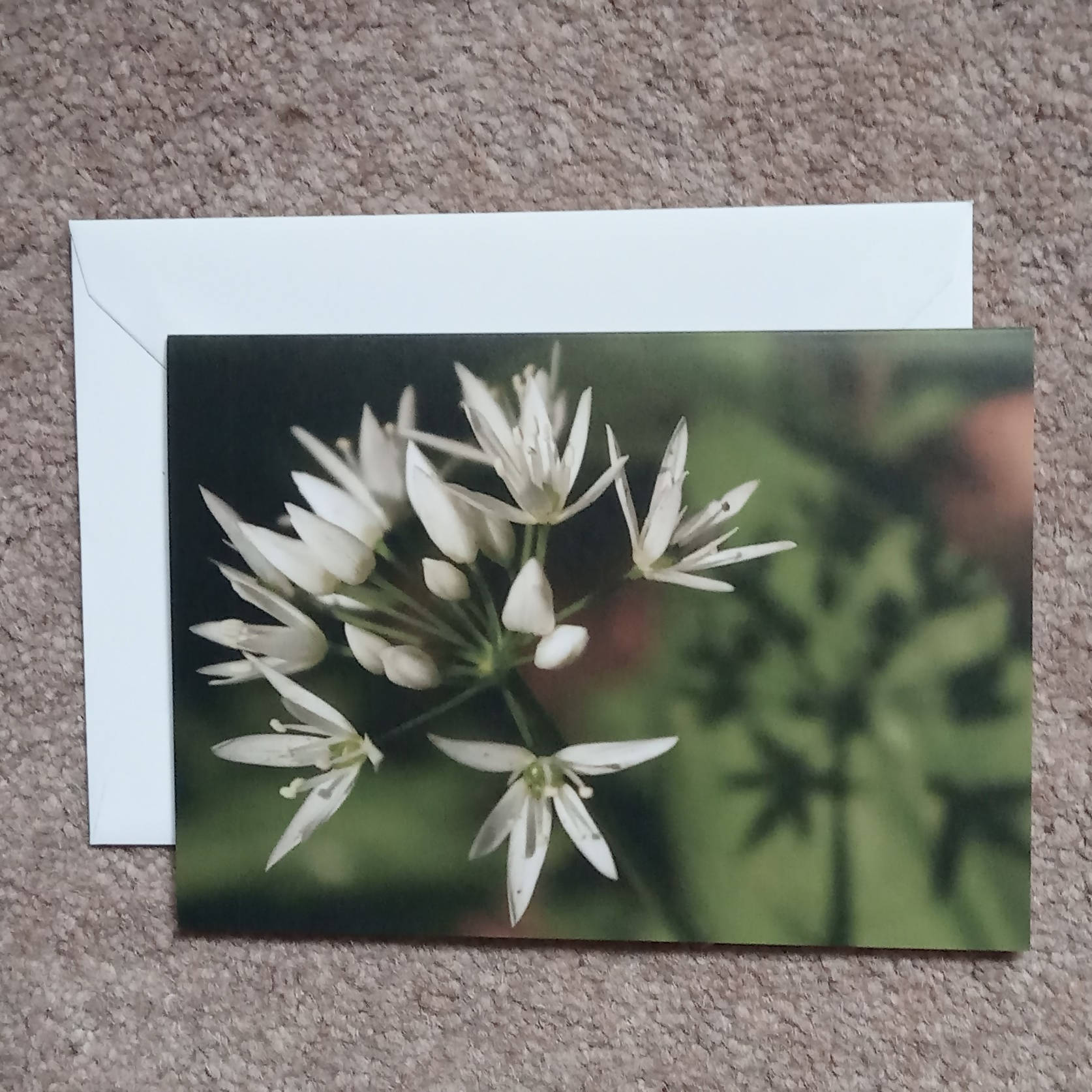 Wild Garlic - Card