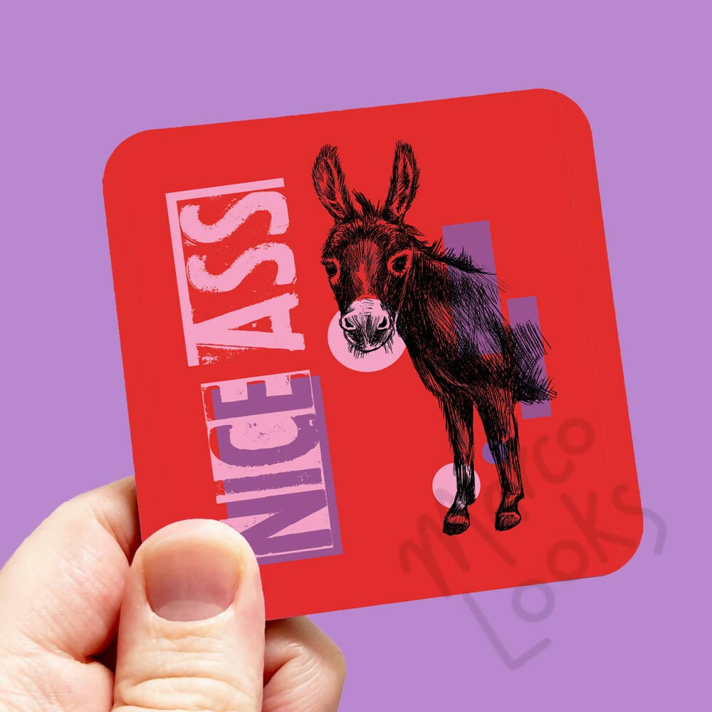 niceass_sq