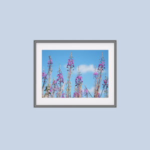 Florescence Framed/Mounted Photograph