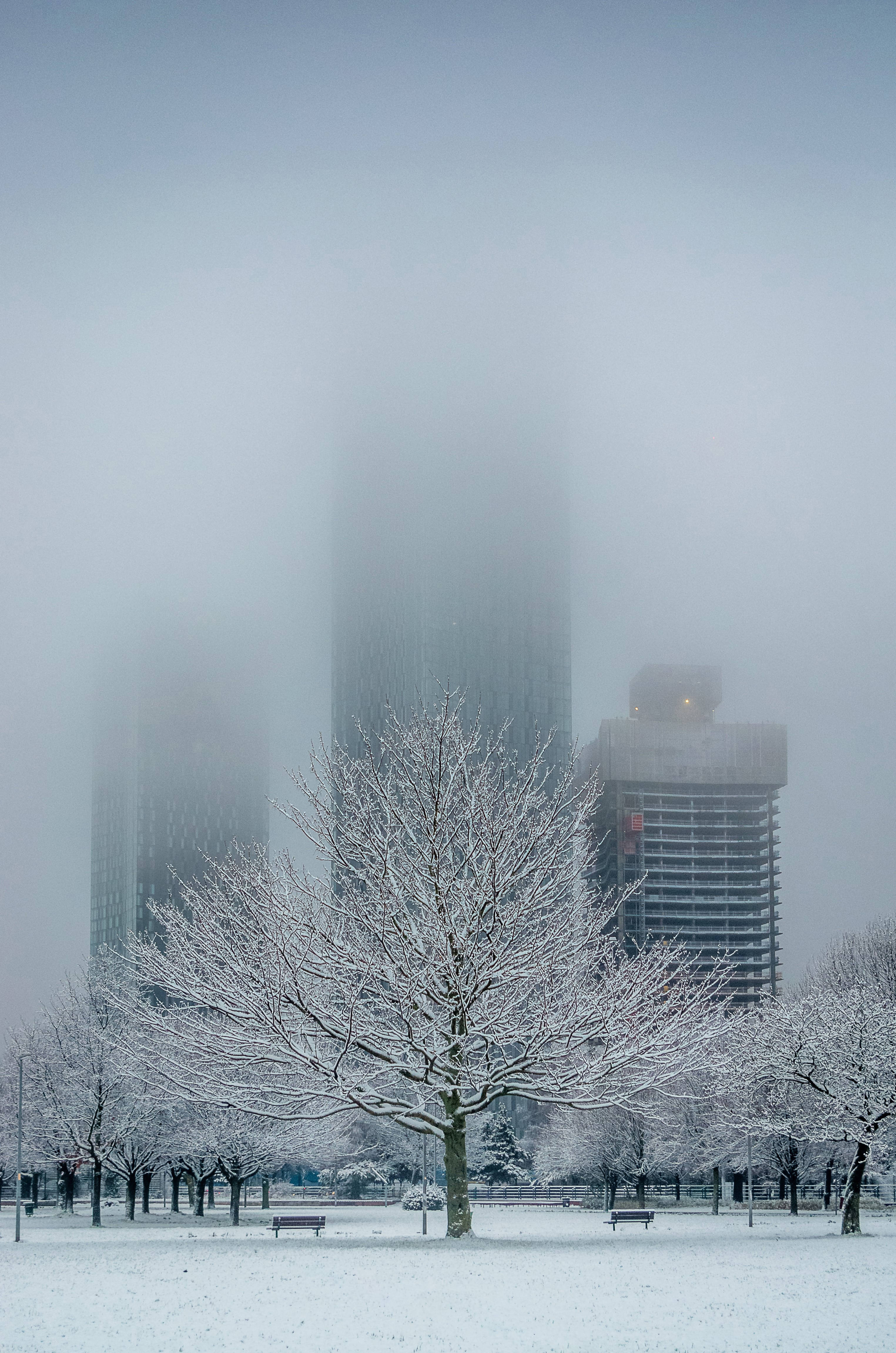 Hulme Park Snow - Card