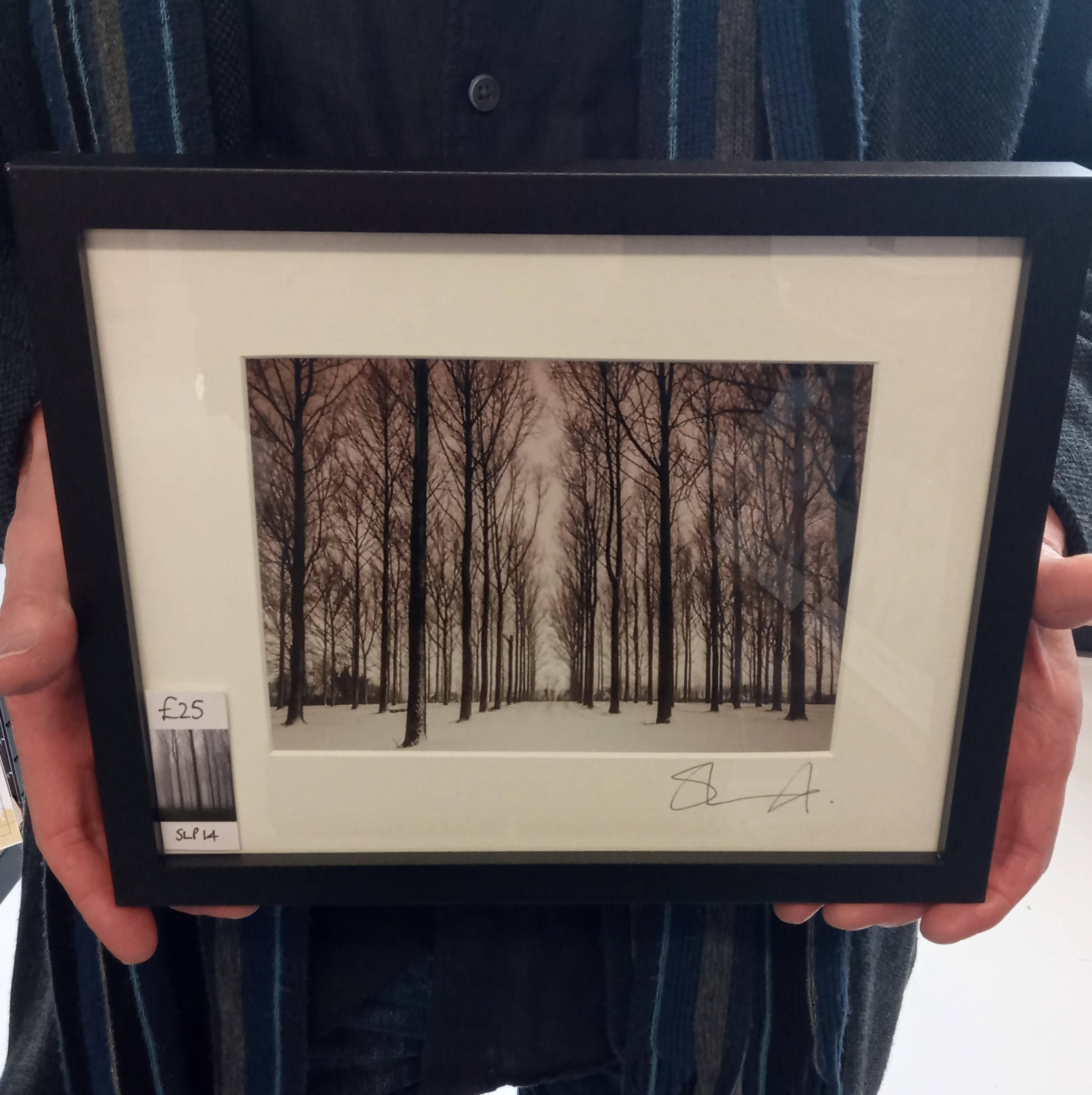 Snowy Trees (Small Frame)