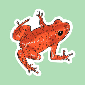 3 Poison Dart Frog Stickers (7x7cm) | Green, Yellow, Orange | Digital Drawings