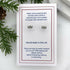 Skull In Christmas Hat Stud Earrings