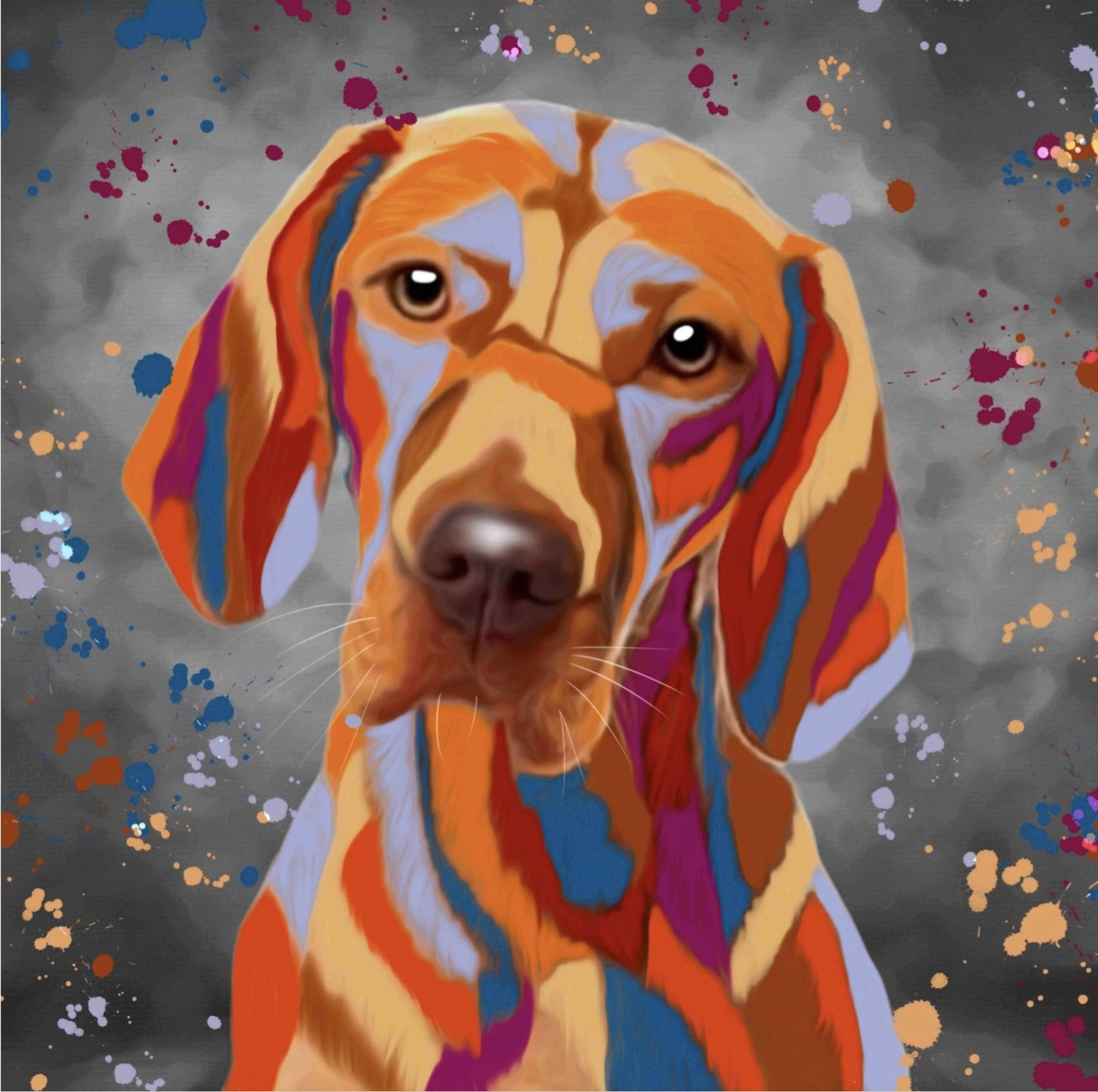 VIZSLA DOG COLOUR SPLASH FRAMED ARTWORK.