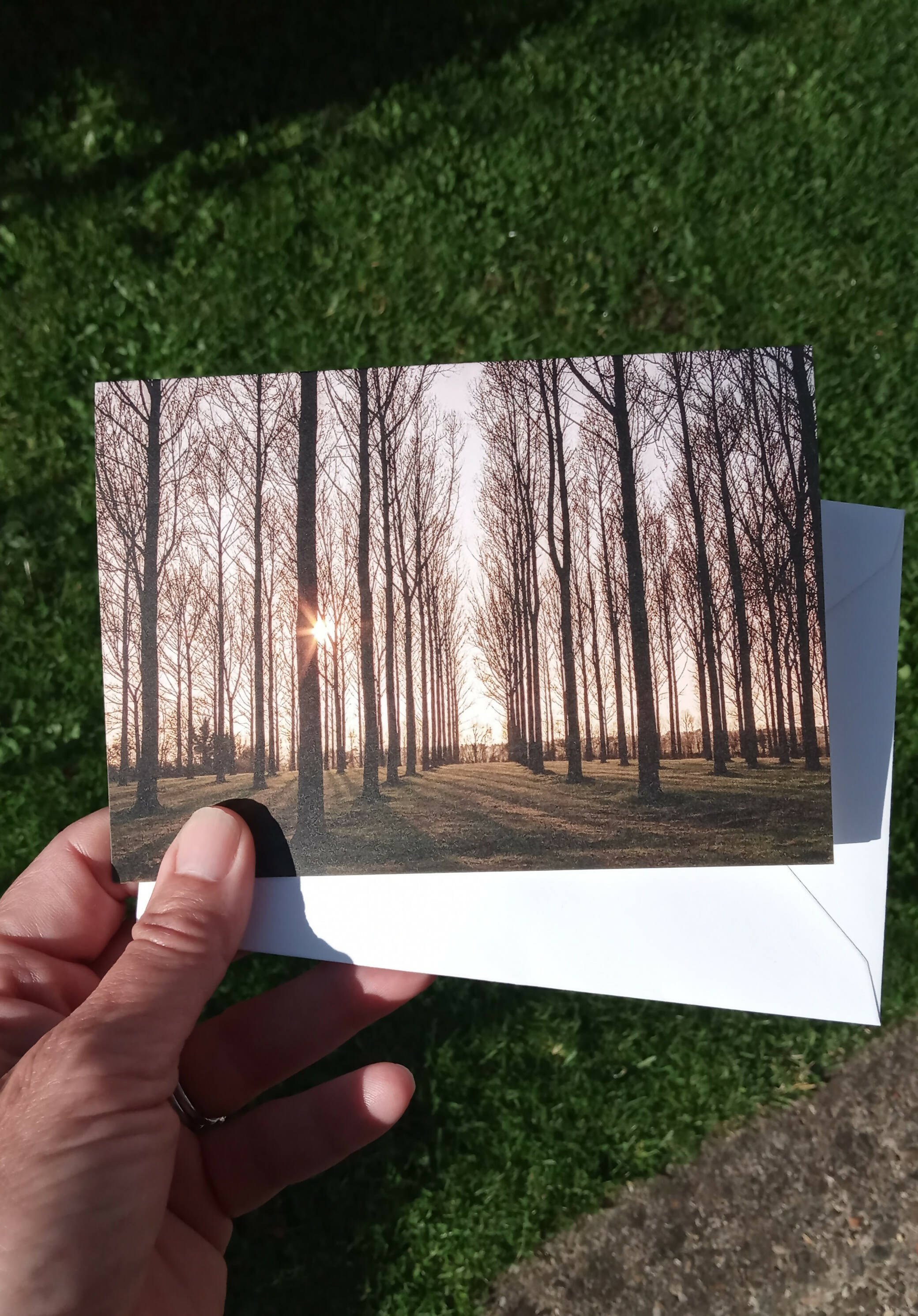 Sunny Trees - Card
