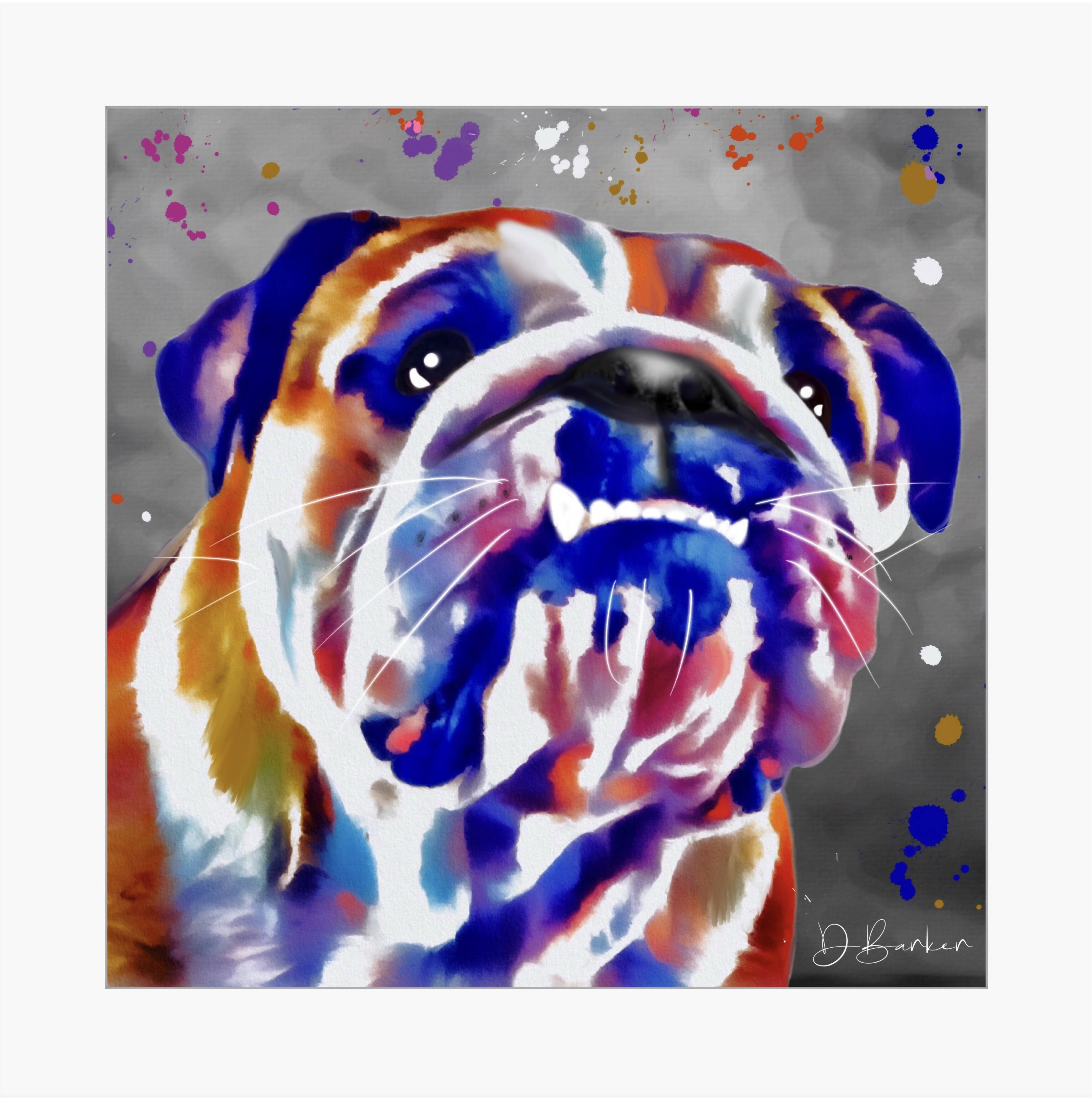 BULLDOG COLOUR SPLASH MOUNTED ARTWORK.