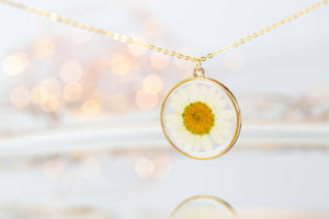 Real Daisy Necklace Gold Plated
