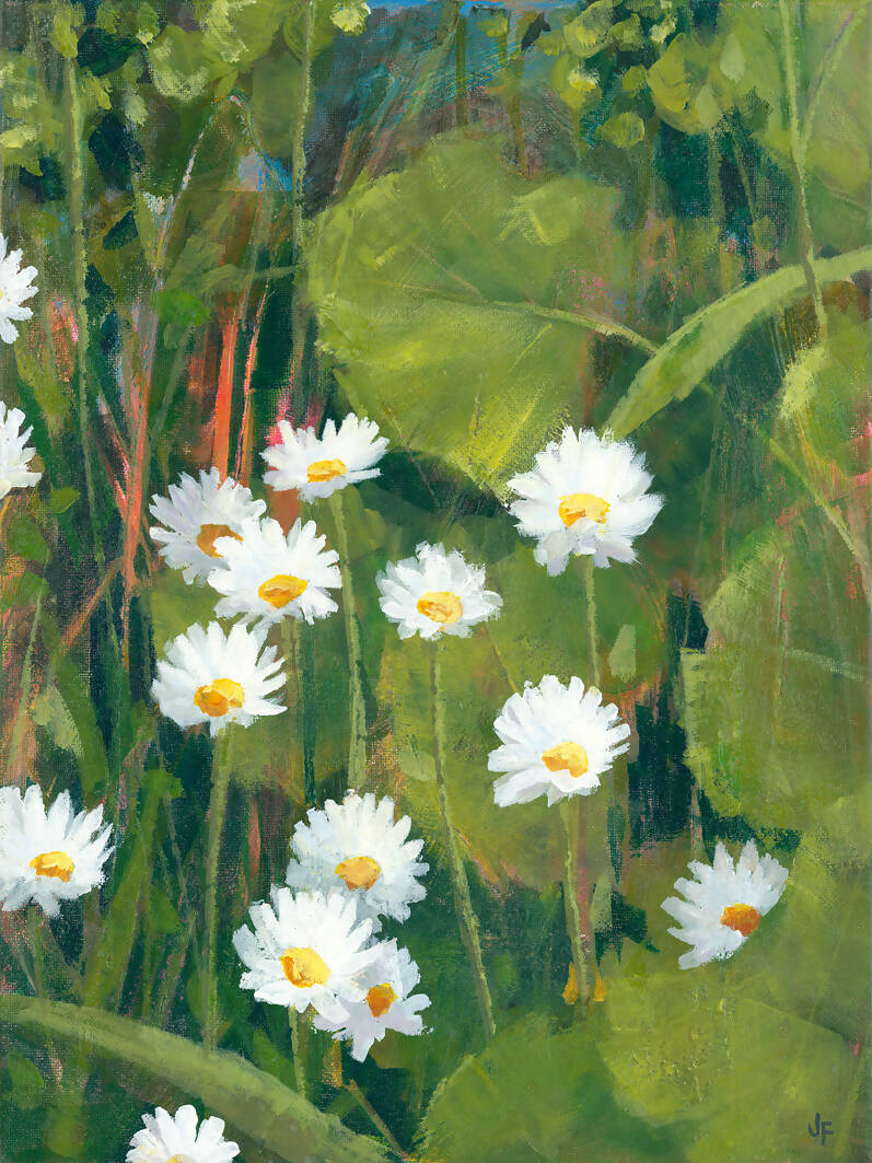 DAISIES - GICLEE PRINT