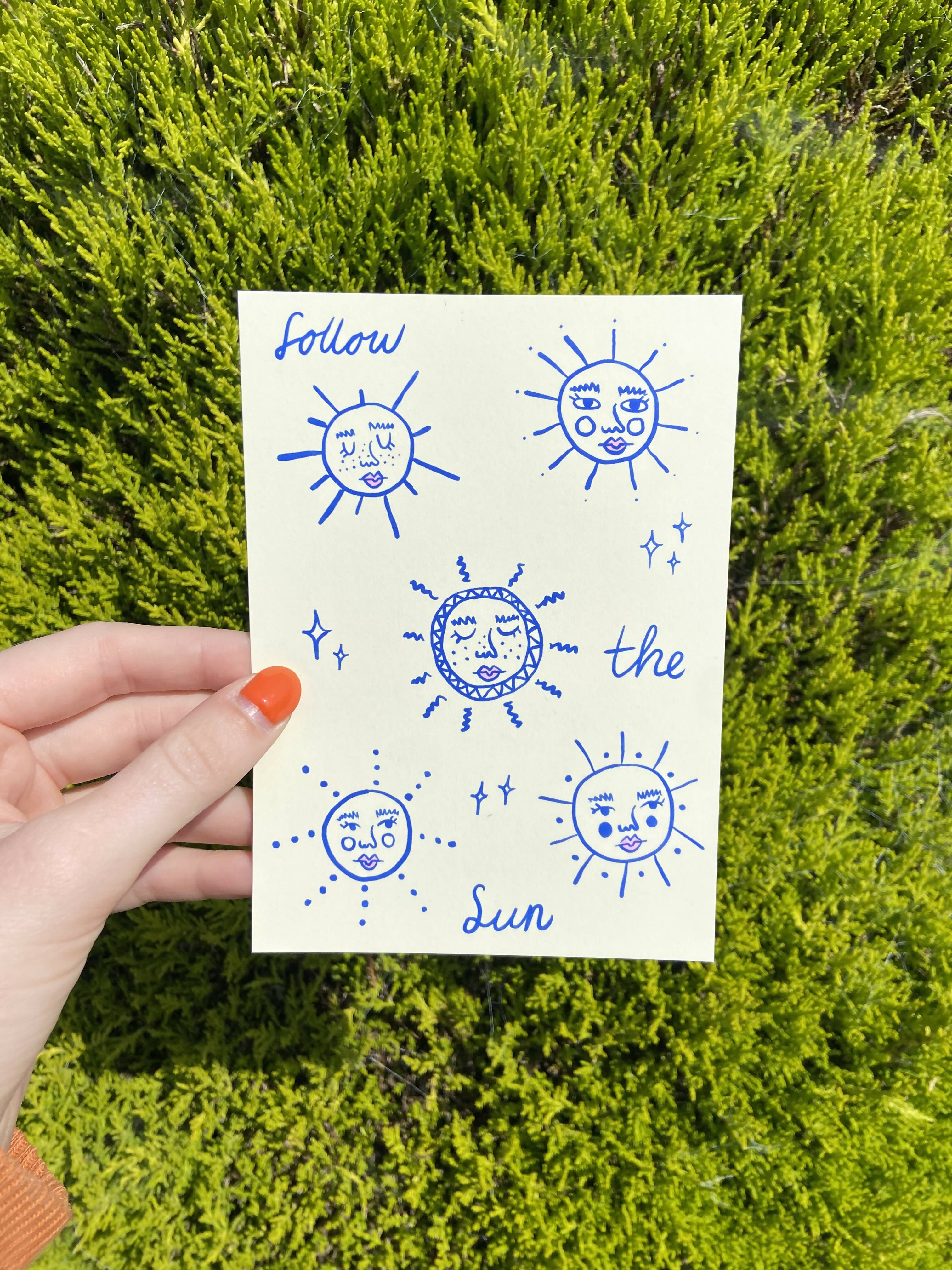 Follow The Sun Postcard