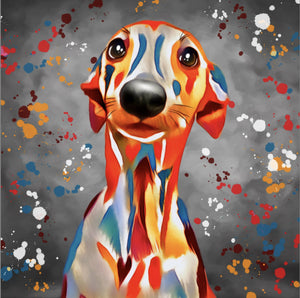 WHIPPET DOG COLOUR SPLASH ART FRAMED ARTWORK.