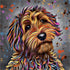 LABRADOODLE DOG COLOUR SPLASH FRAMED ARTWORK.