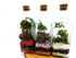 Tall Square Terrarium 500ml