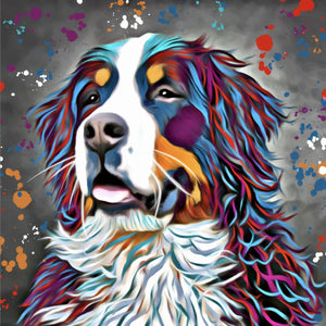 BERNESE MOUNTAIN DOG COLOUR SPLASH FRAMED ARTWORK.