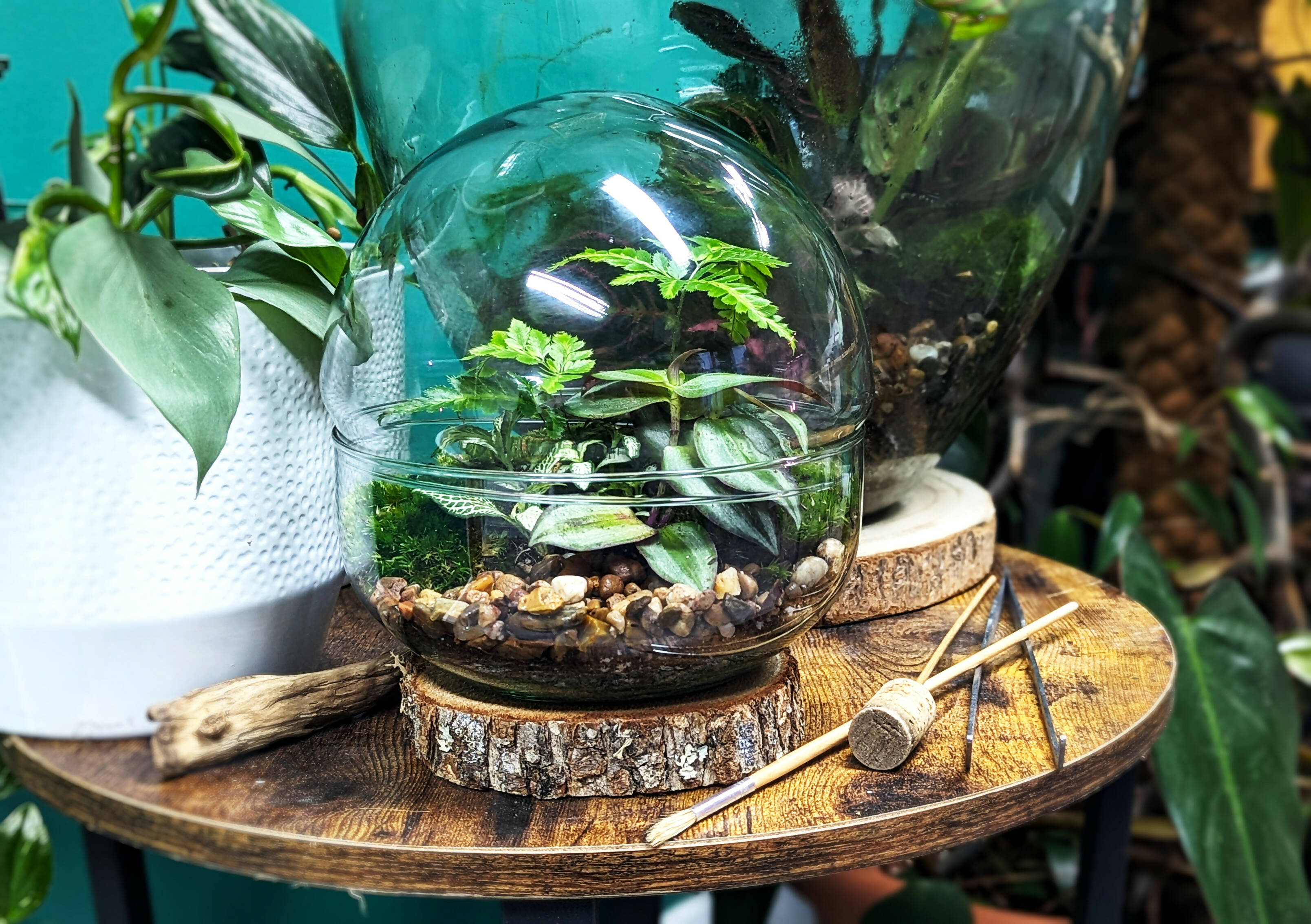 Egg Terrarium