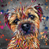 Border Terrier Dog Colour Splash Mounted Artwork | Art & Soul