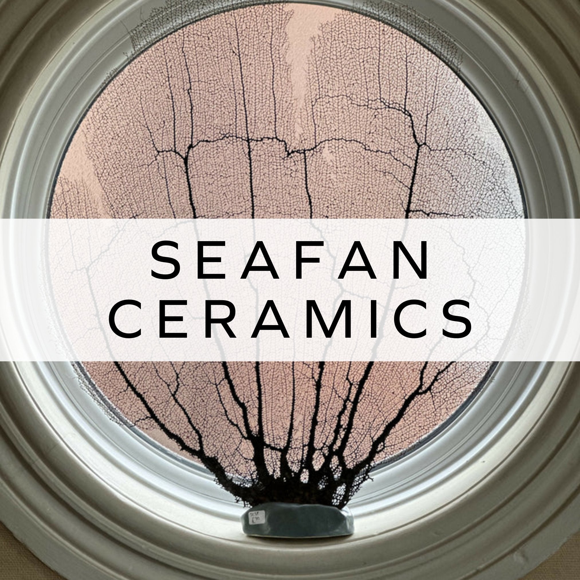 Seafan Ceramics