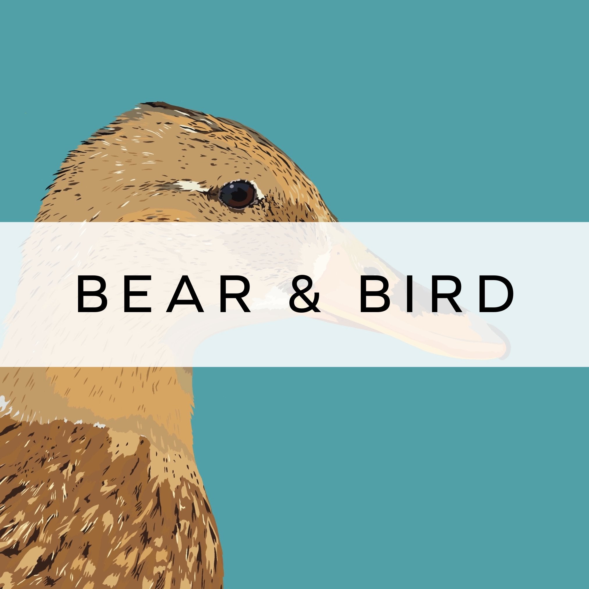 Bear & Bird