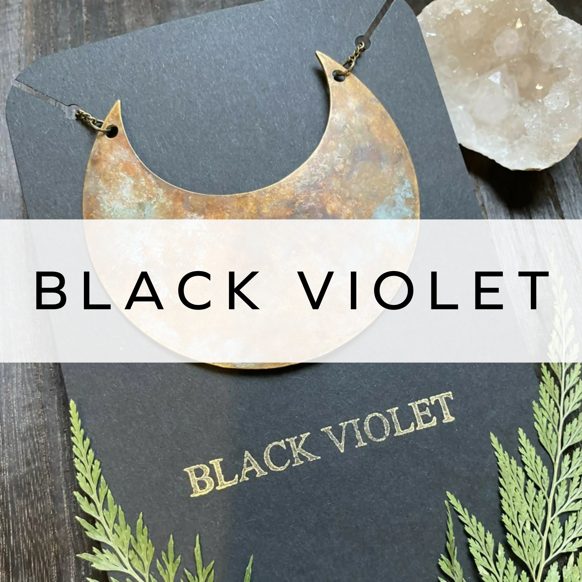 Black Violet
