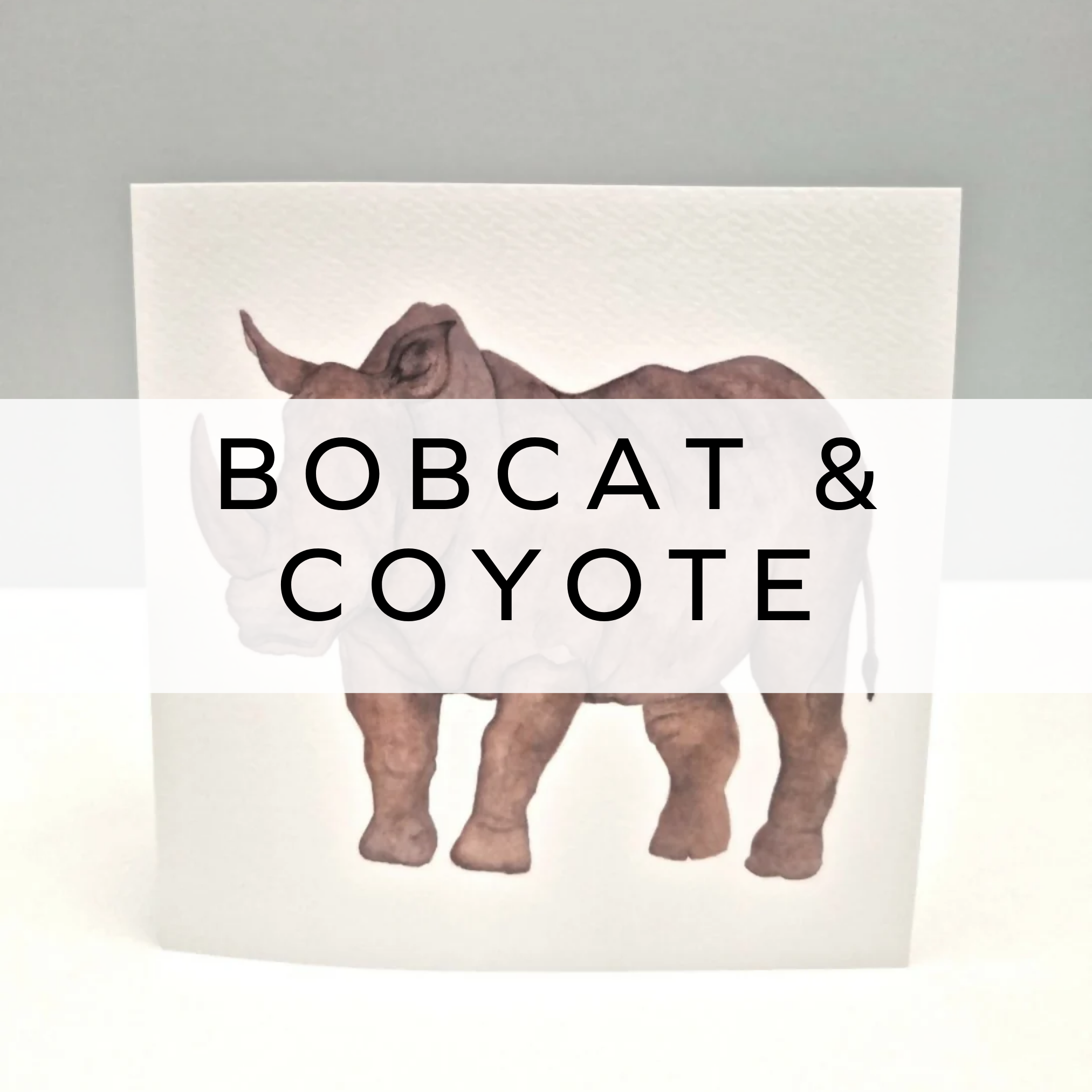 Bobcat & Coyote