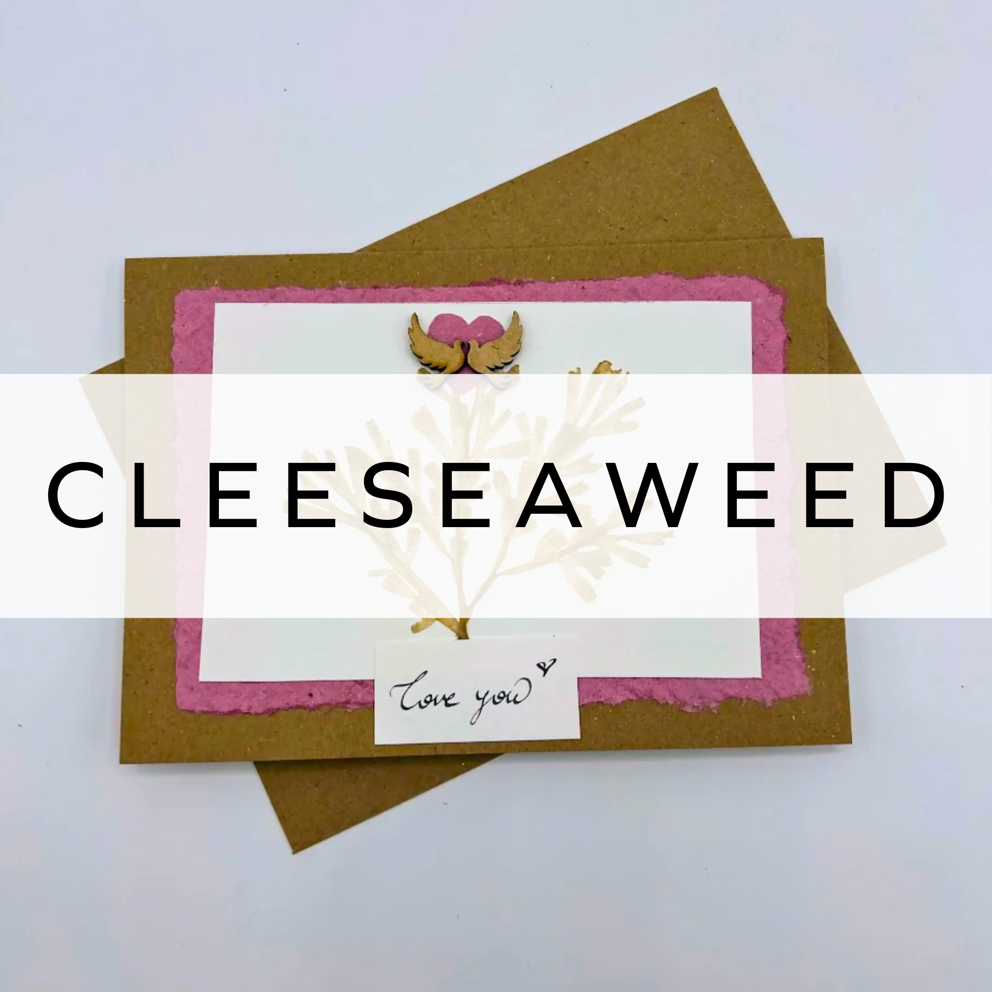 CleeSeaWeed