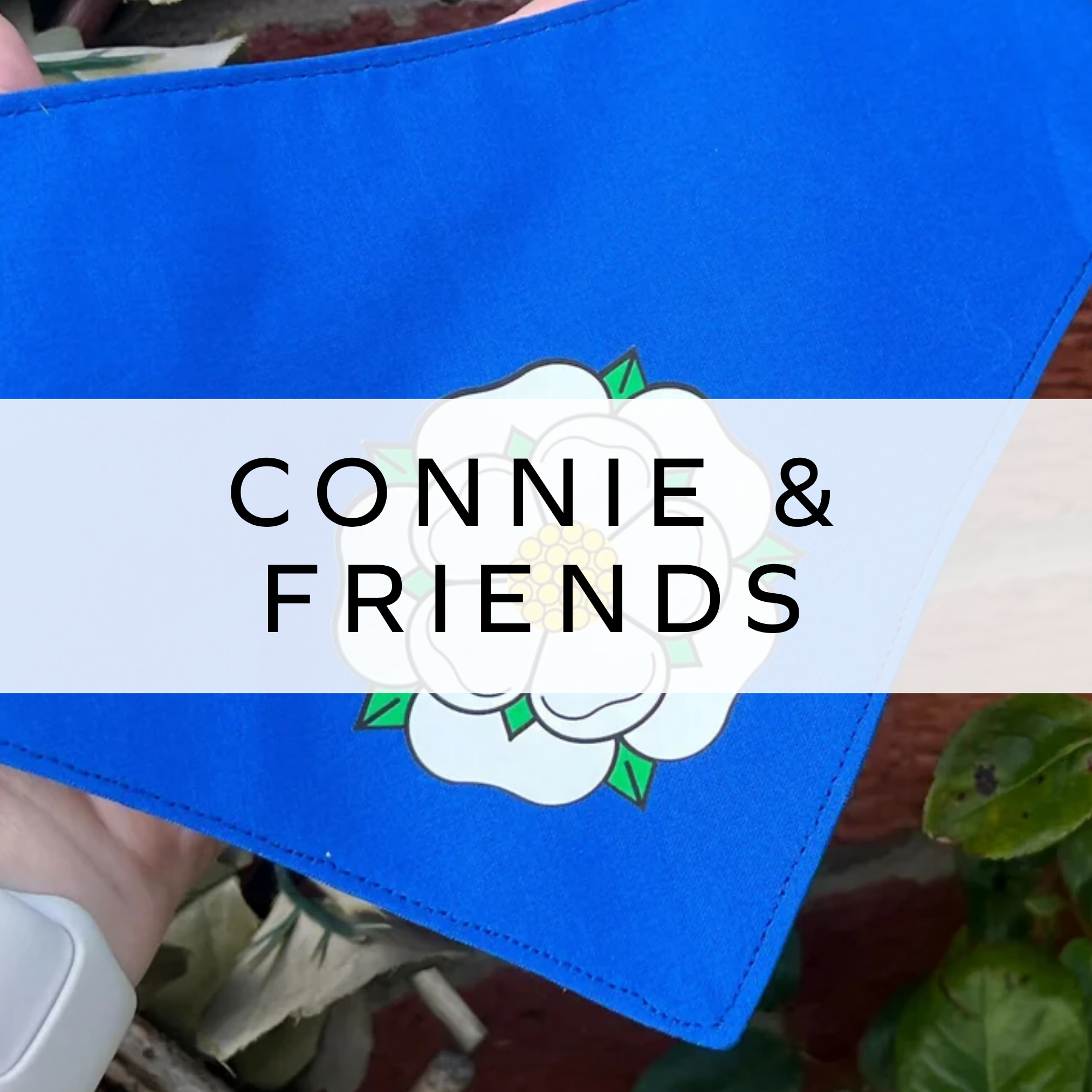 Connie & Friends
