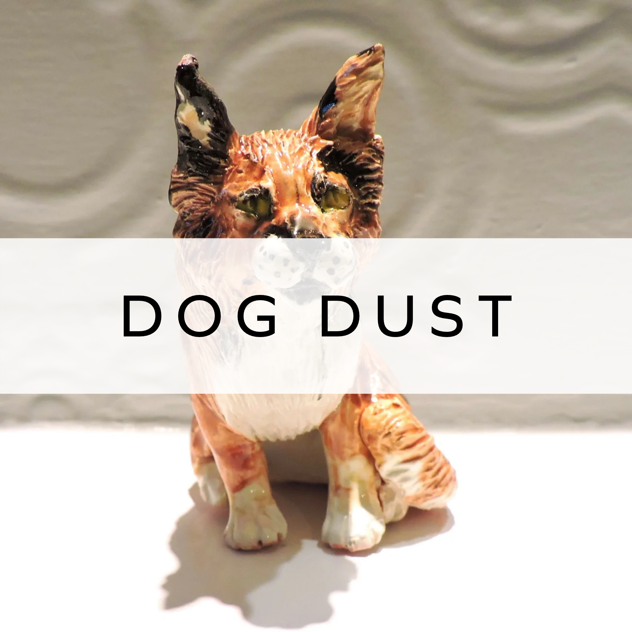 Dog Dust