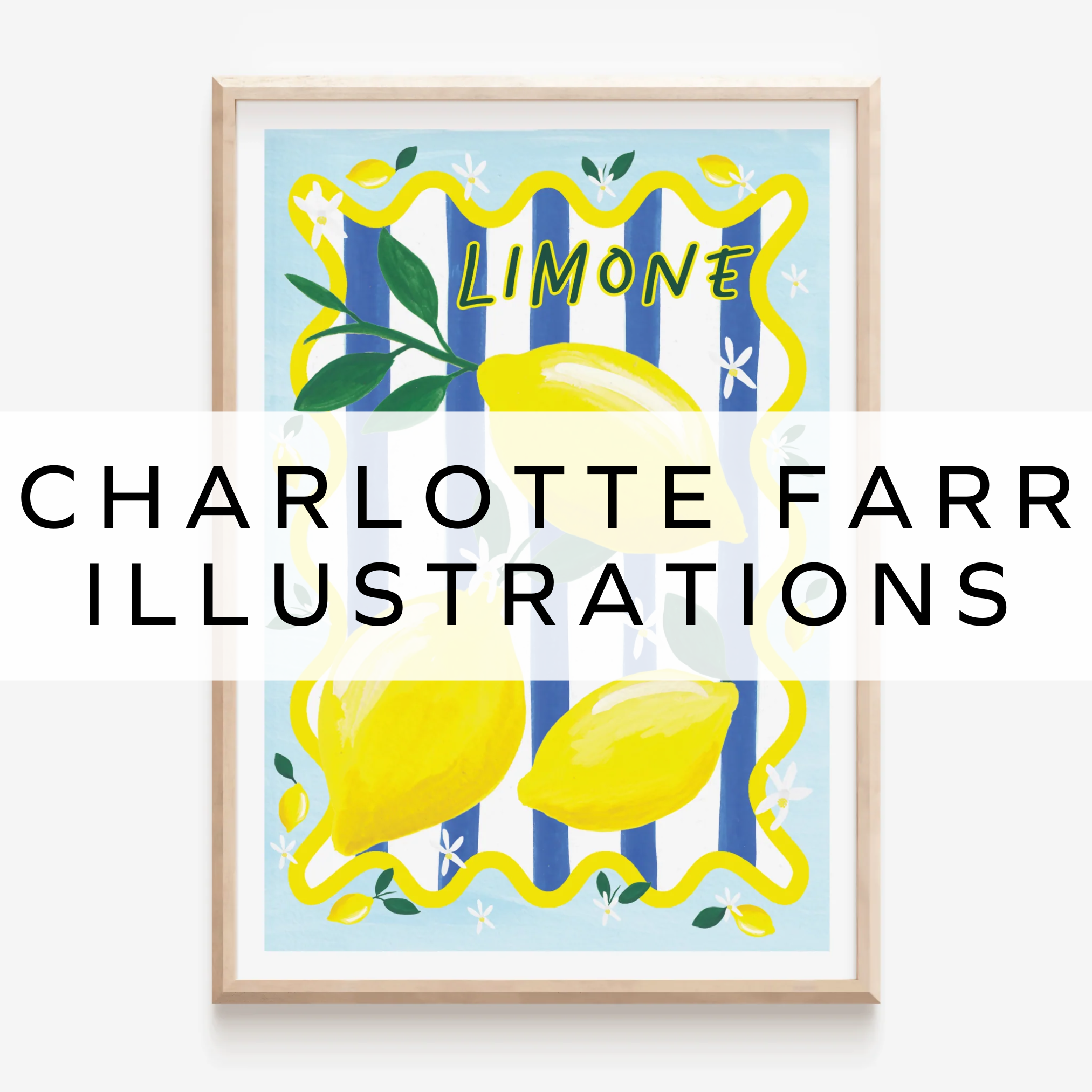 Charlotte Farr Illustrations