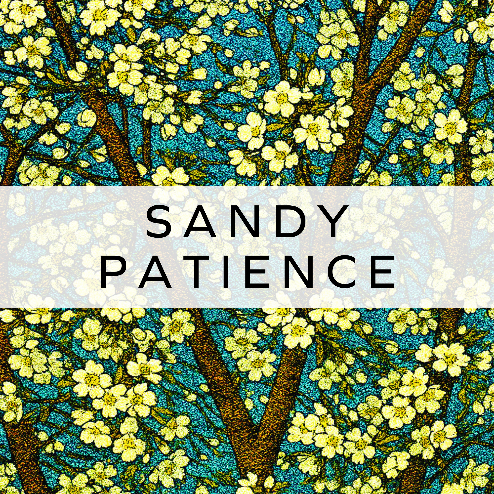 Sandy Patience