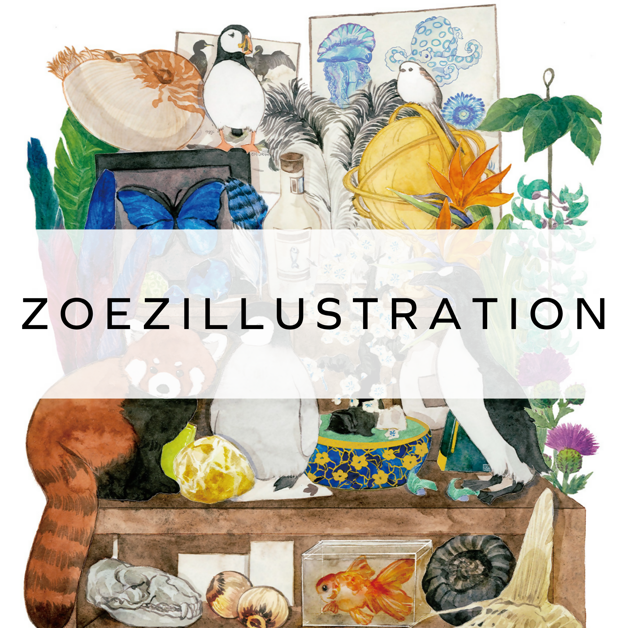 ZoeZILLUSTRATION