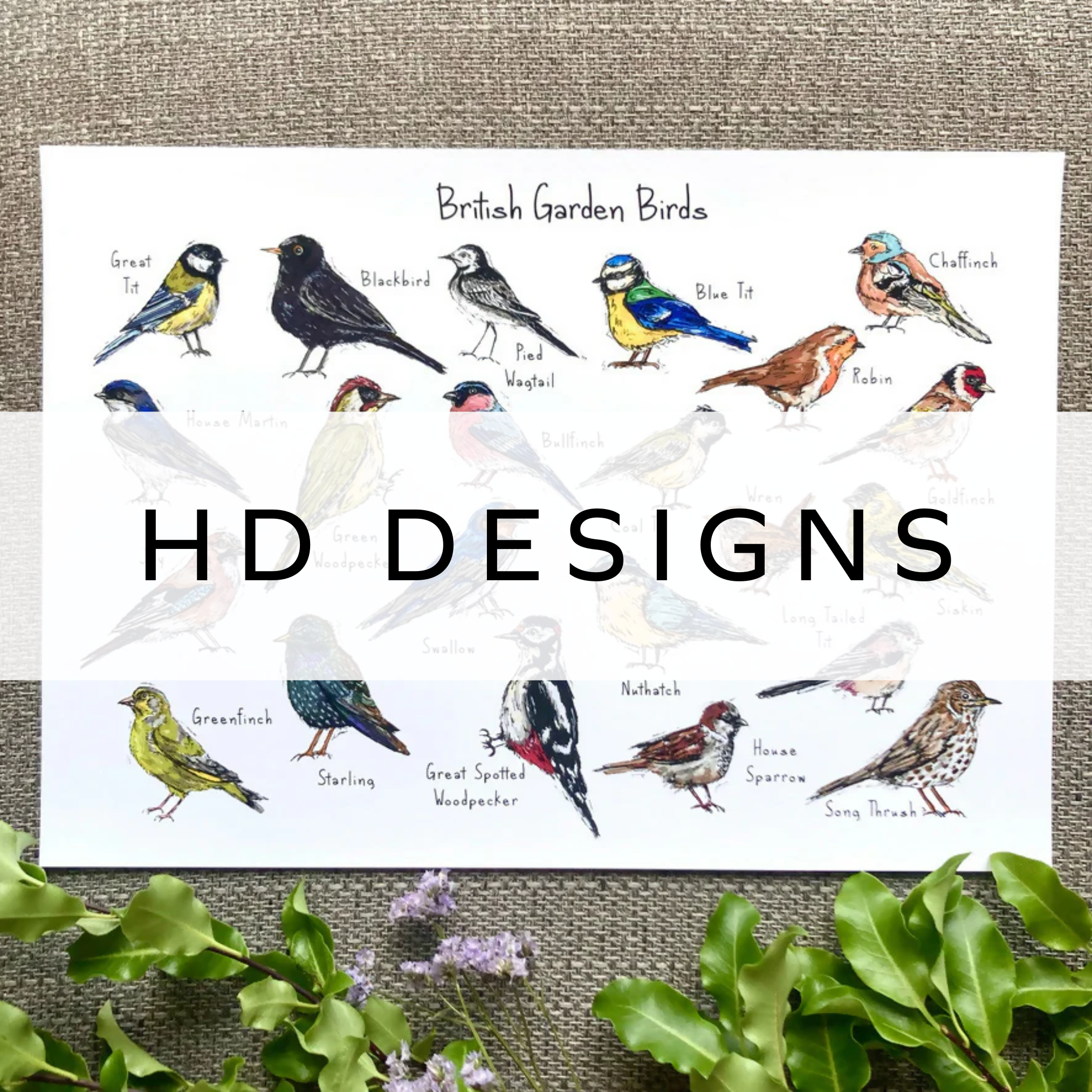 HD Designs