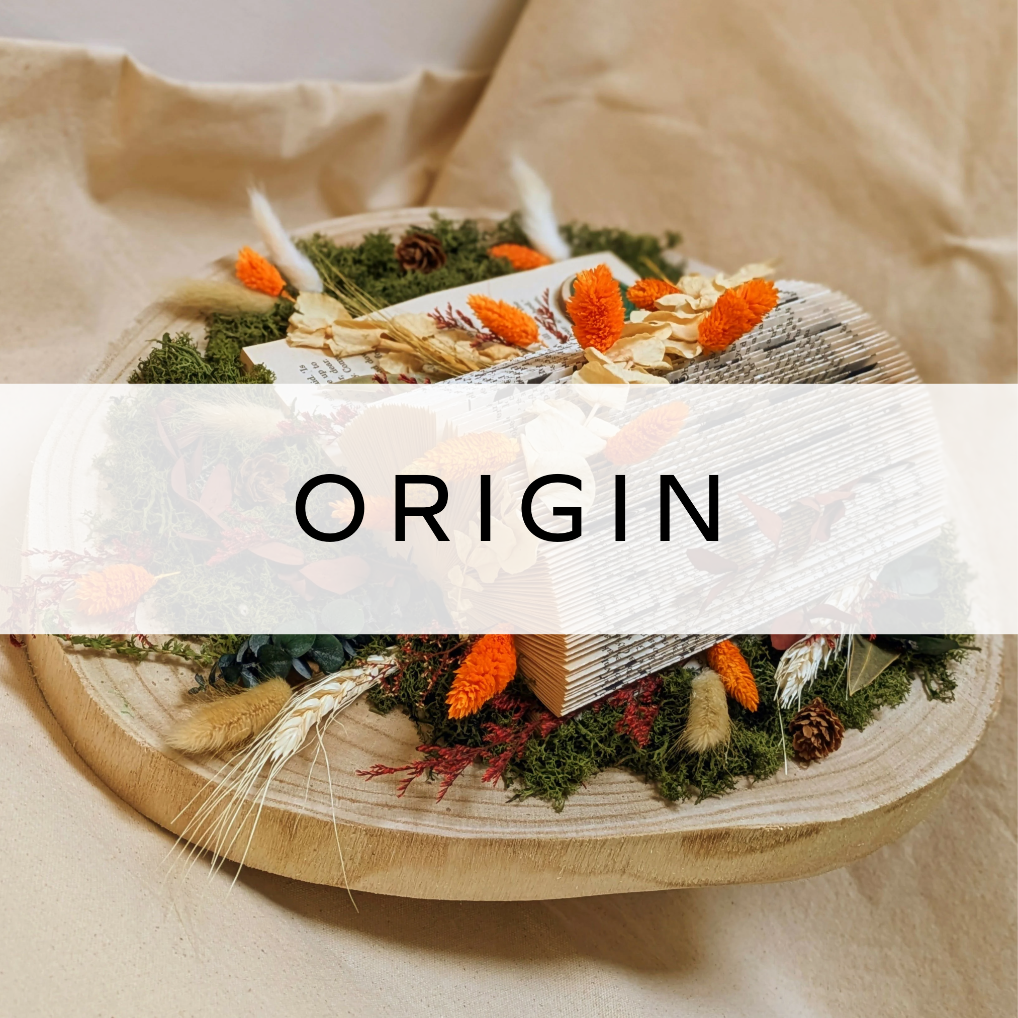 Origin