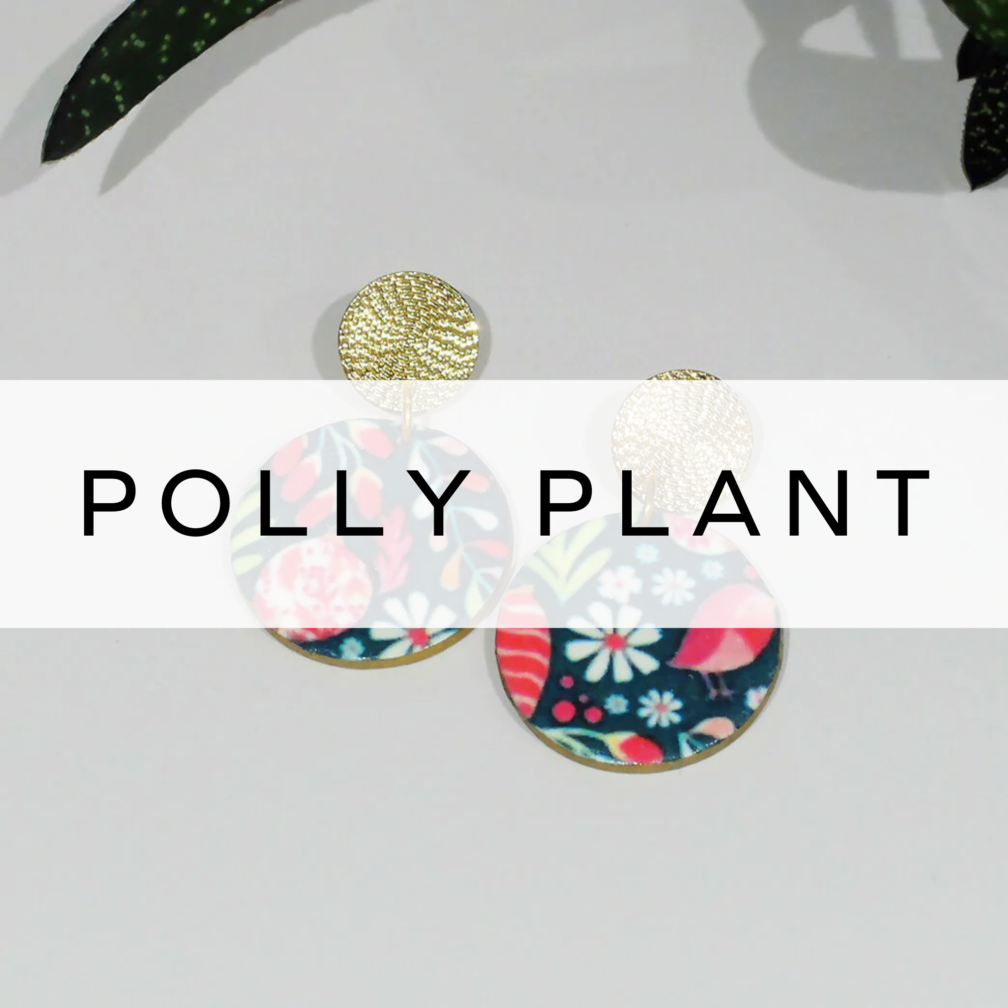 Polly Plant