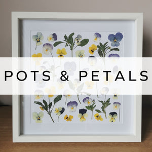 Pots & Petals