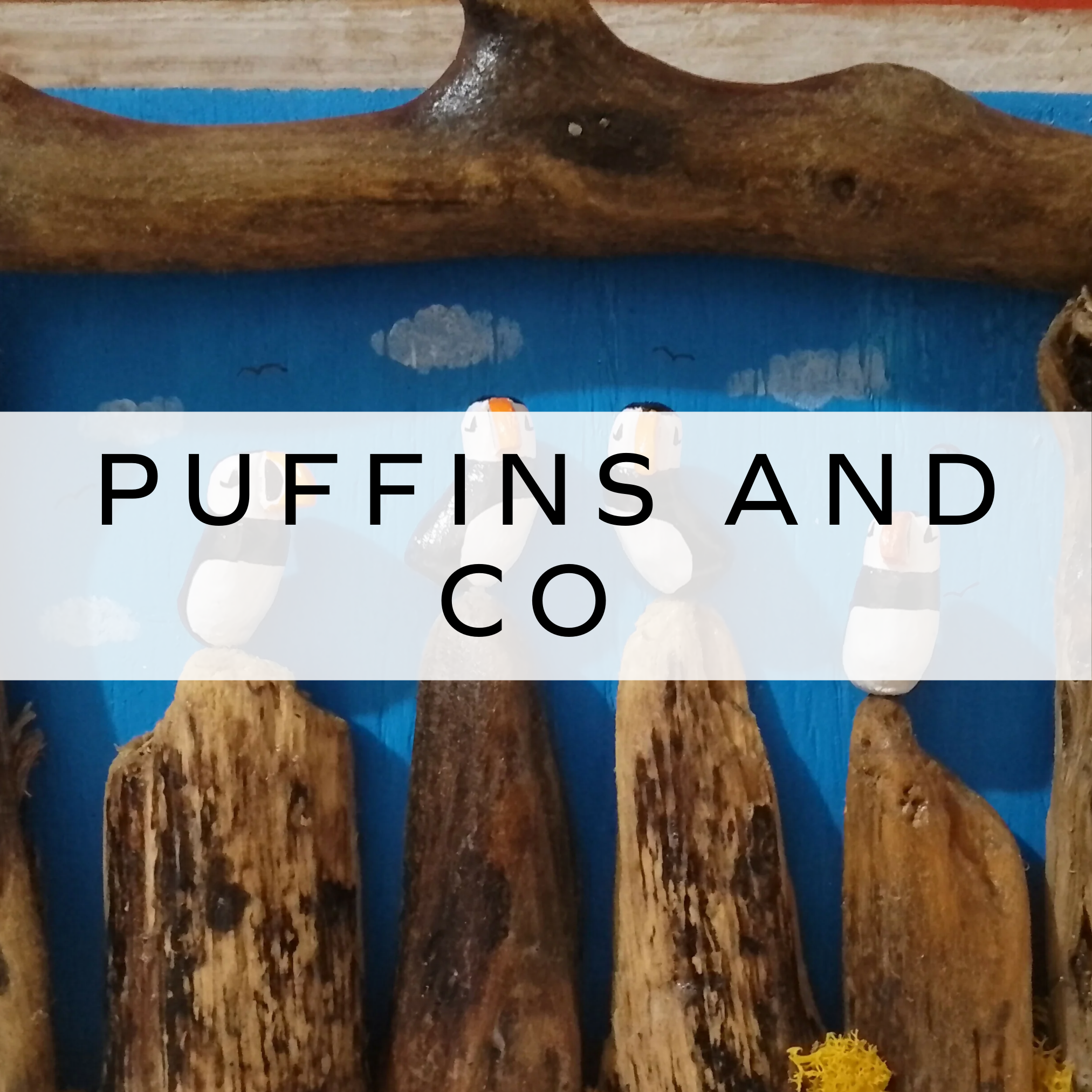 Puffins and Co