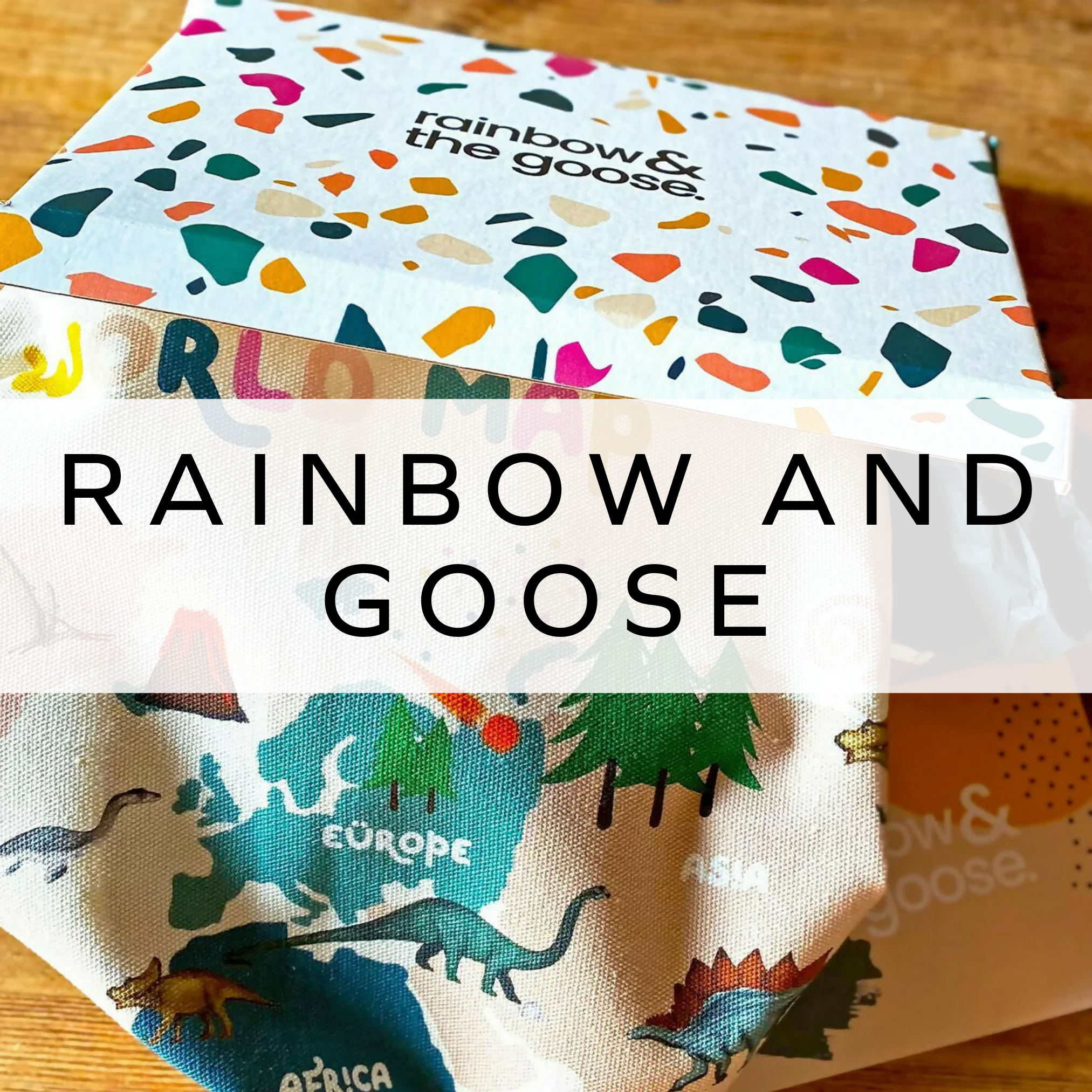 Rainbow and Goose