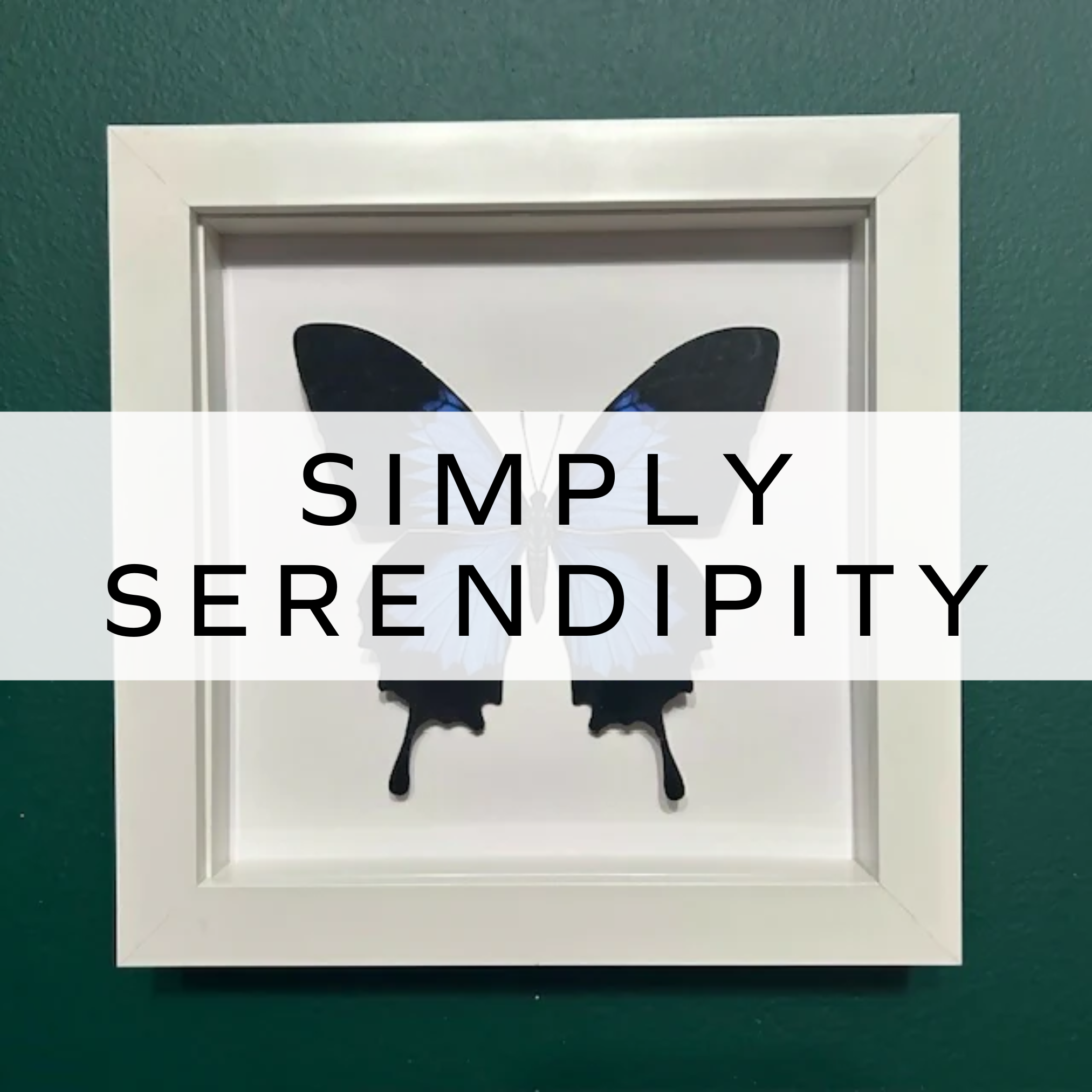 Simply Serendipity