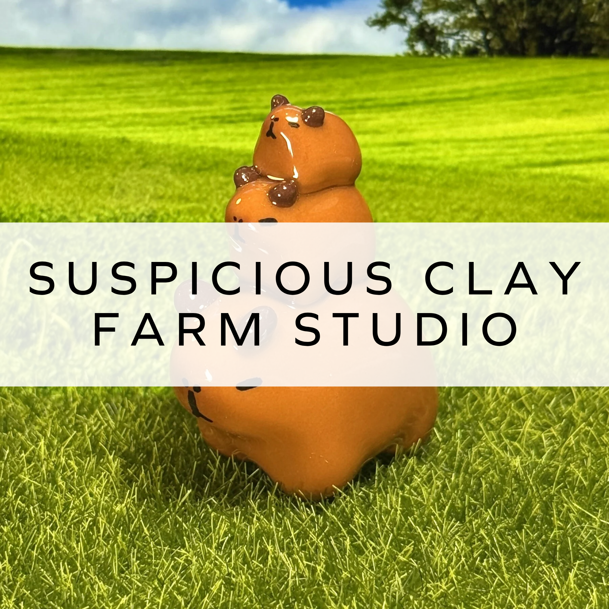 Suspicious Farm Clay Studio