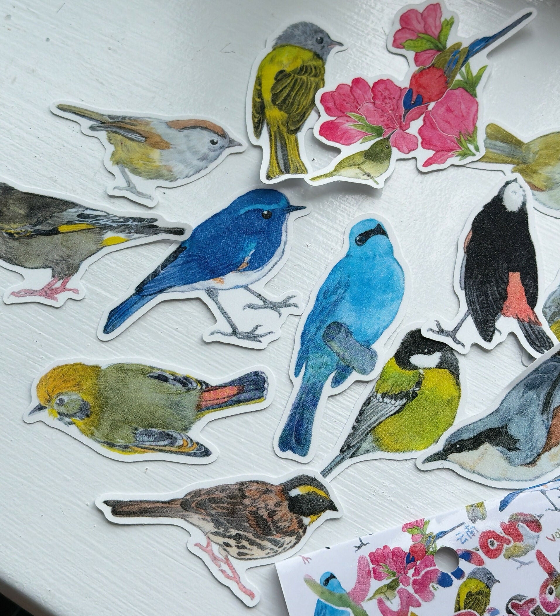 Sticker PACK -vinyl waterproof