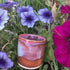 Red & Rust Bowl