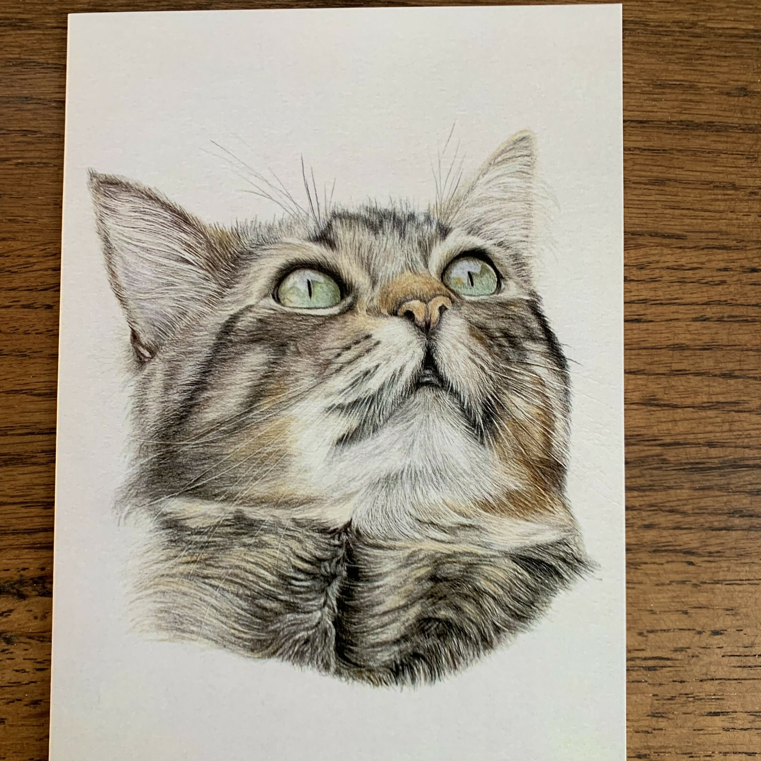 Greeting Card of a Cat. Blank Inside