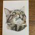 Greeting Card of a Cat. Blank Inside