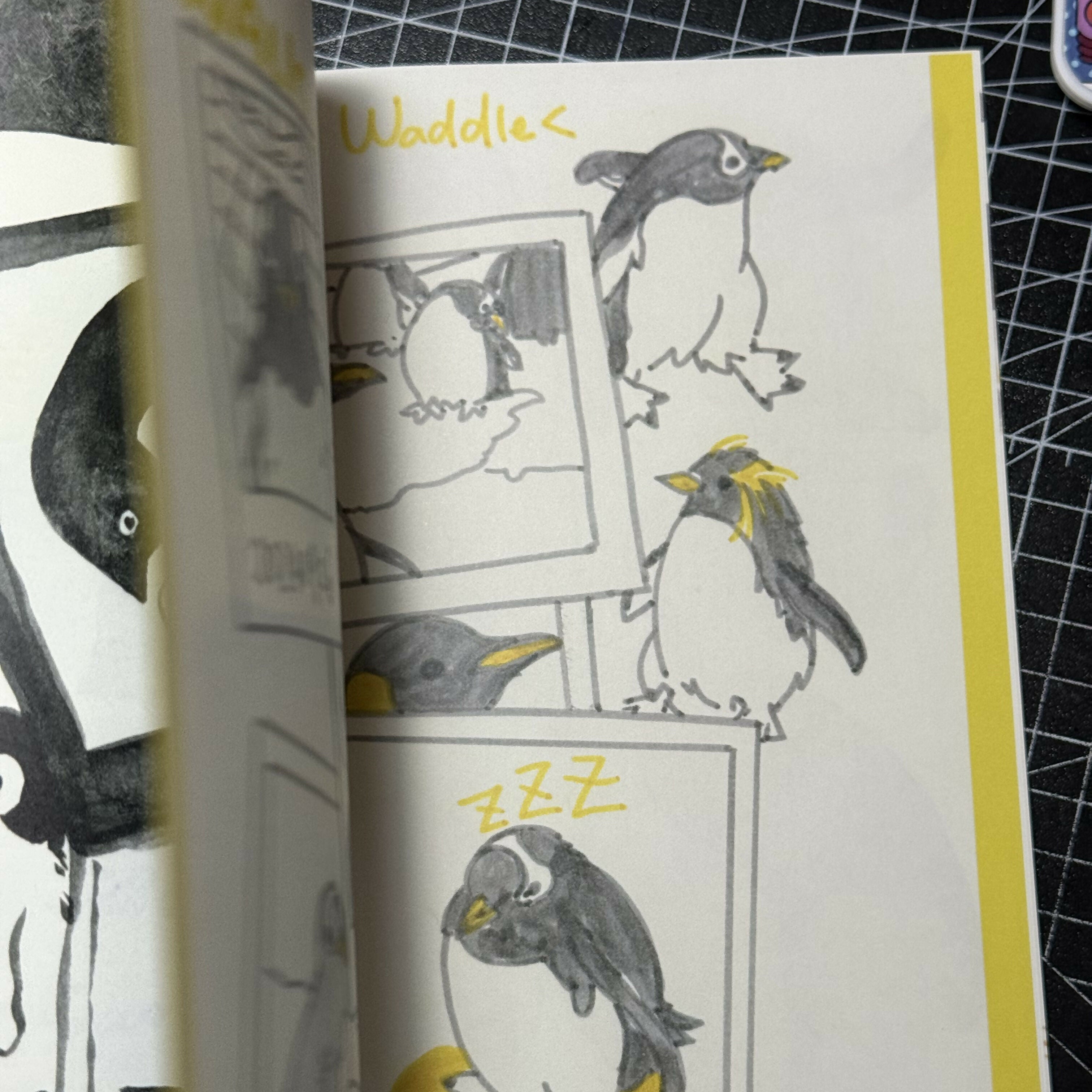 Zoo Sketchbook