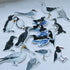Sticker PACK -vinyl waterproof