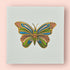 Butterfly Small Print
