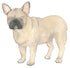 French Bulldog Giclée Print