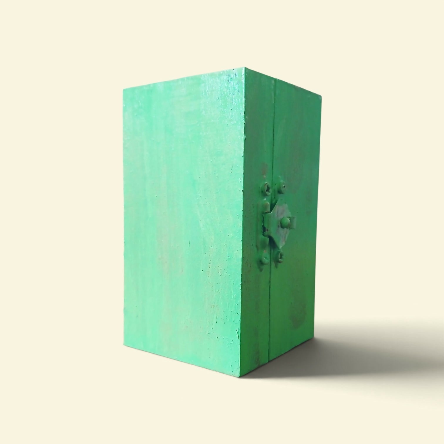 Bookcase and Cat Green Box