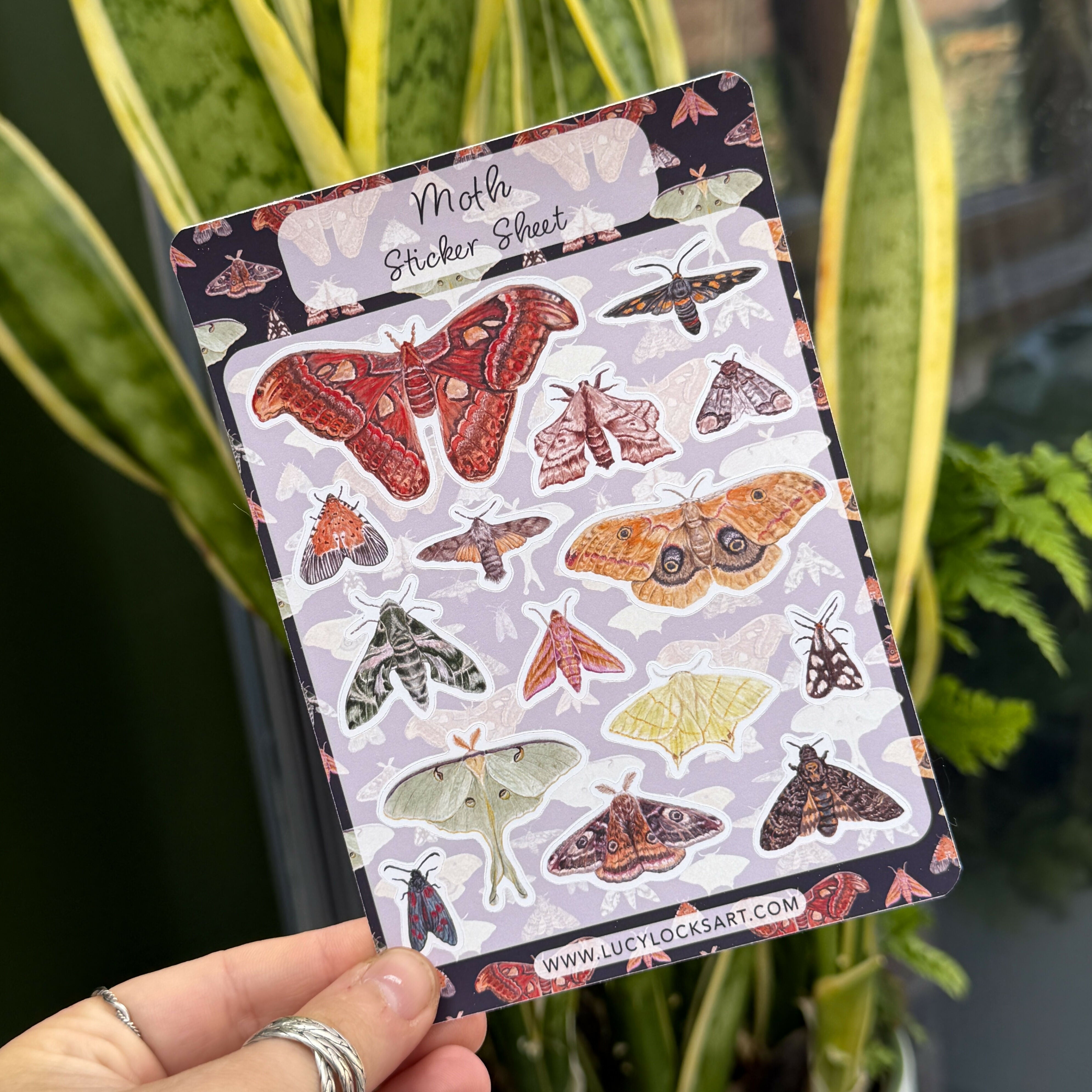 Moth - Matt Sticker Sheet