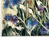 Cornflowers A4 print