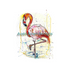 FLAMINGO FINE ART PRINT